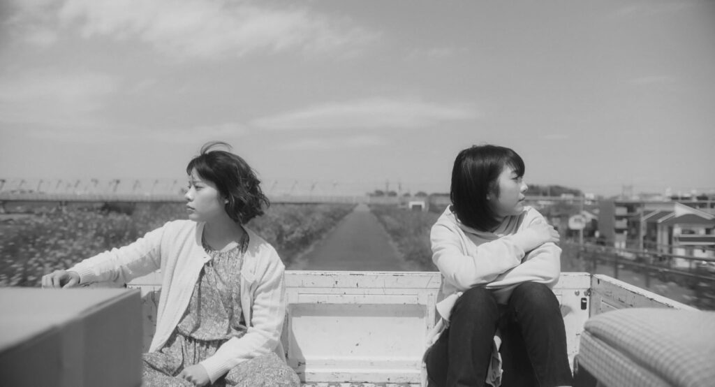 Dalla terra al cielo (II)